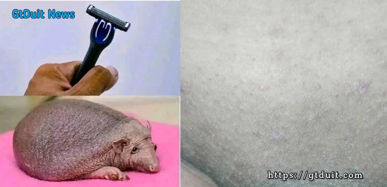 Begini cara saya mencukur rambut pubis, kumis, underarm, dan legs