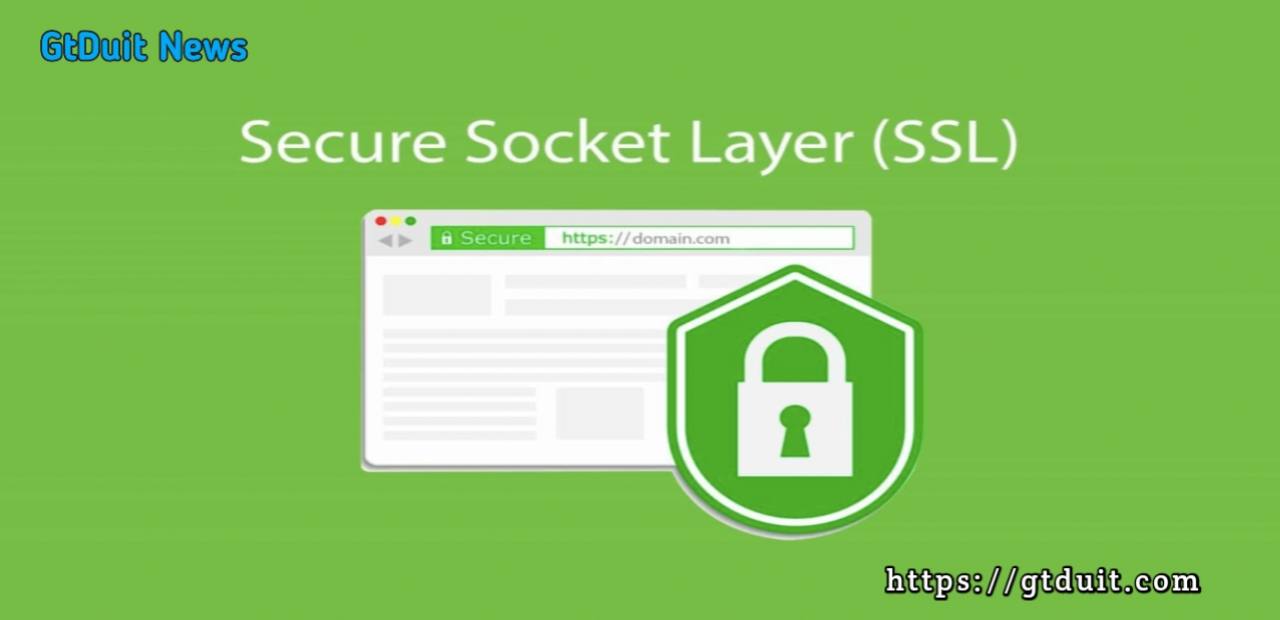 Cara menambahkan SSL untuk aaPanel tanpa domain